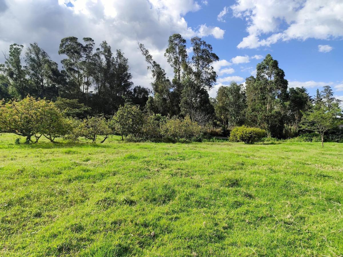 Terreno en Renta en San Francisco de Pinsha, 4.000 m², Ideal Para Turismo, Eventos y Gastronomía — imagen 2