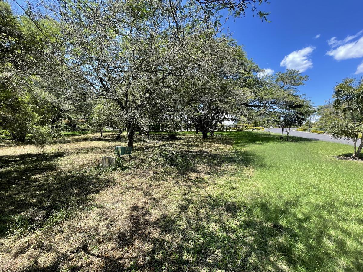 Puembo - Urbanizacion Arrayanes en Venta Terreno 1262 m² Esquinero — imagen 4