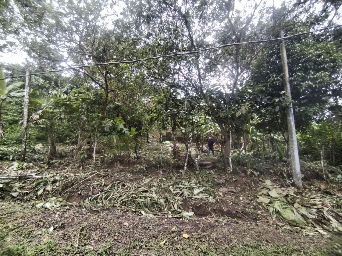 Terreno en Venta, Pacto, Comunidad Mashpi. Provincia de Pichincha — imagen 8