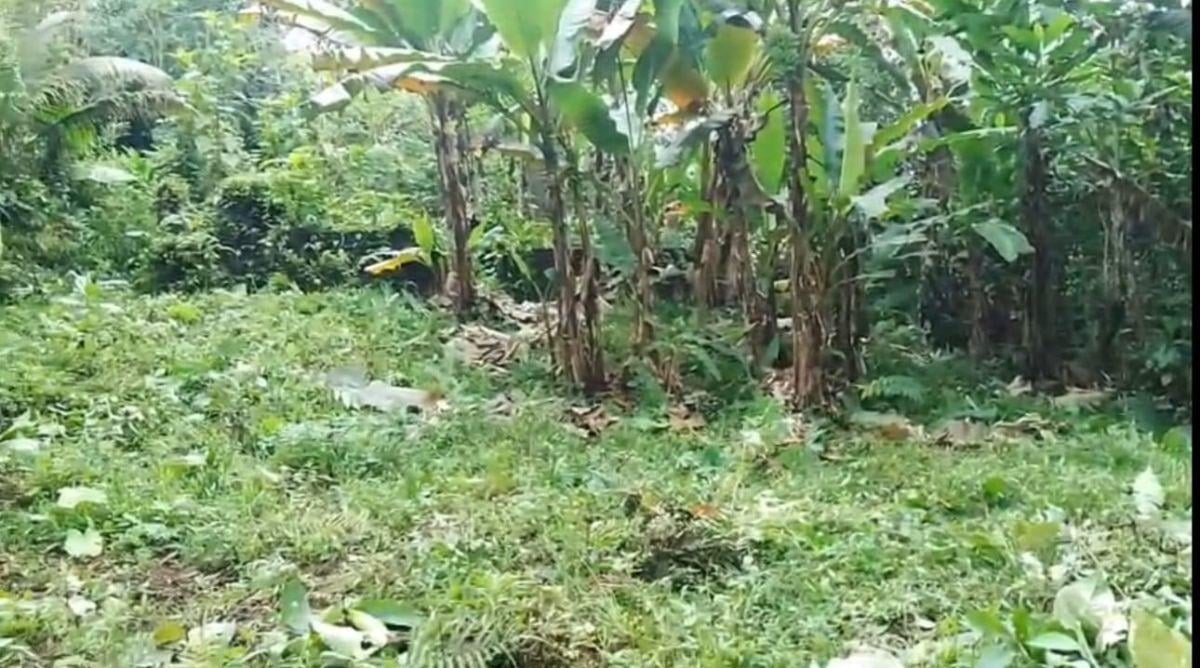 Terreno en Venta, Pacto, Comunidad Mashpi. Provincia de Pichincha — imagen 4