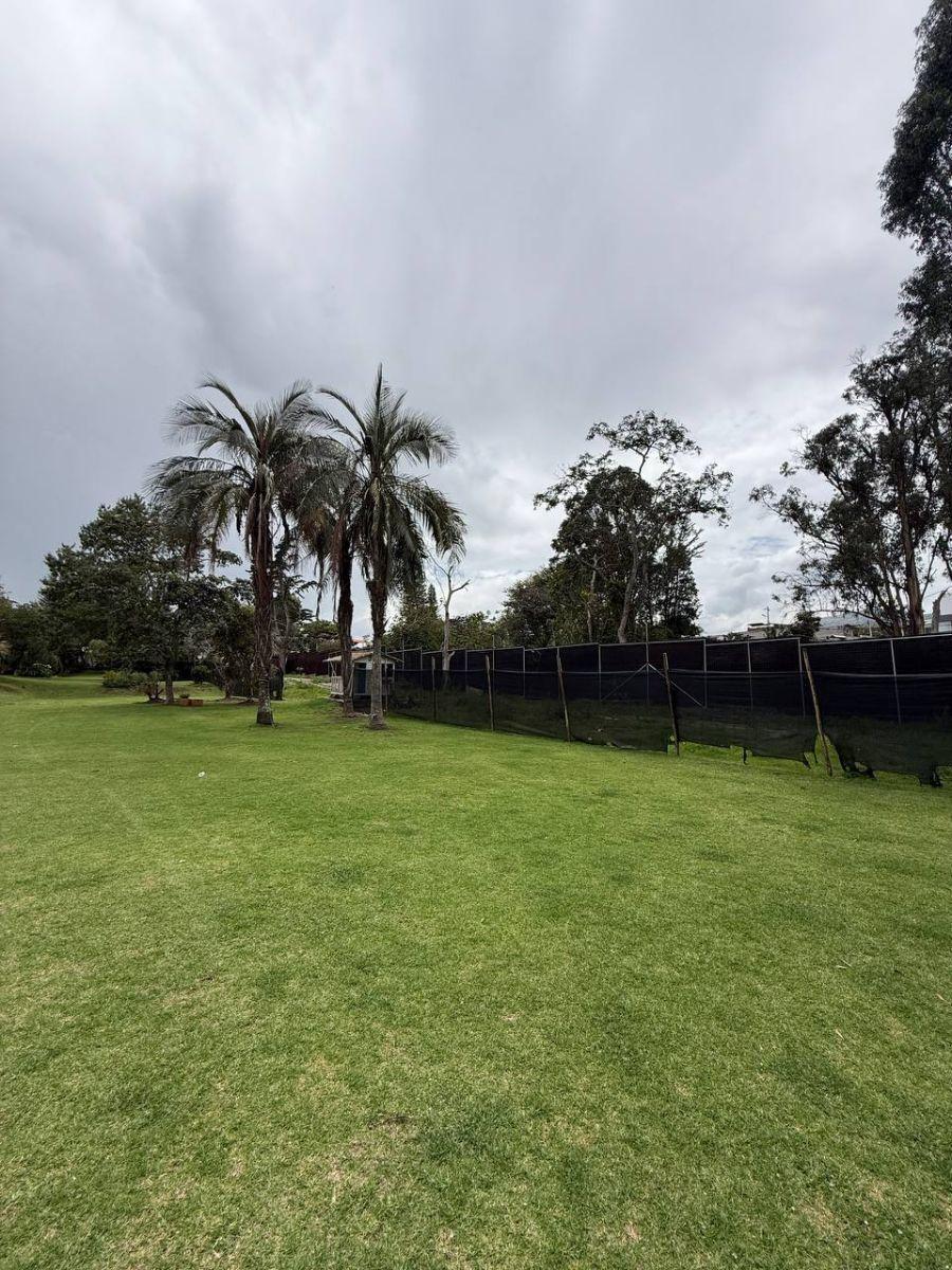 Terreno - en Venta - Tumbaco - 520 m² — imagen 3