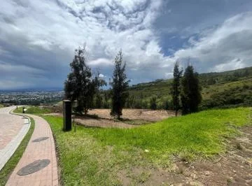 Venta Terreno, Ruta Viva - La Cerámica, Urbanización Exclusiva - Makea Alta — imagen 5