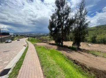 Venta Terreno, Ruta Viva - La Cerámica, Urbanización Exclusiva - Makea Alta — imagen 2