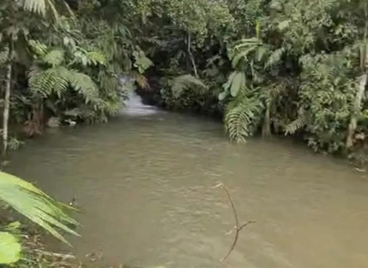 Pedro Vicente Maldonado Lotes de Terreno de 10.000 M — imagen 4
