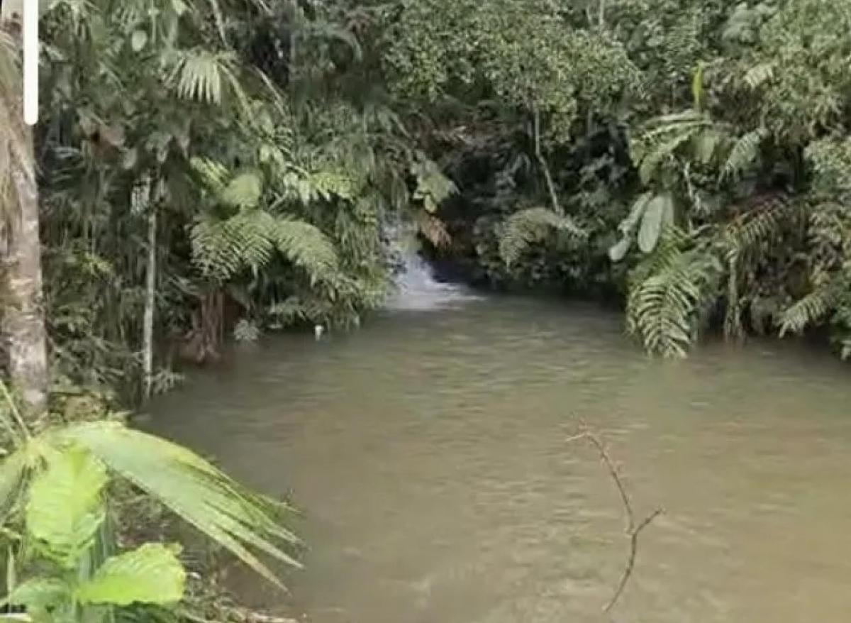 Pedro Vicente Maldonado Lotes de Terreno de 10.000 M — imagen 3
