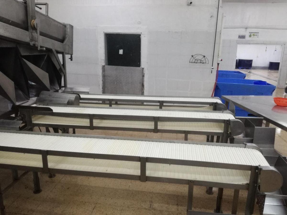De Venta en Guayas Empacadora de Camarón, Guayas — imagen 4