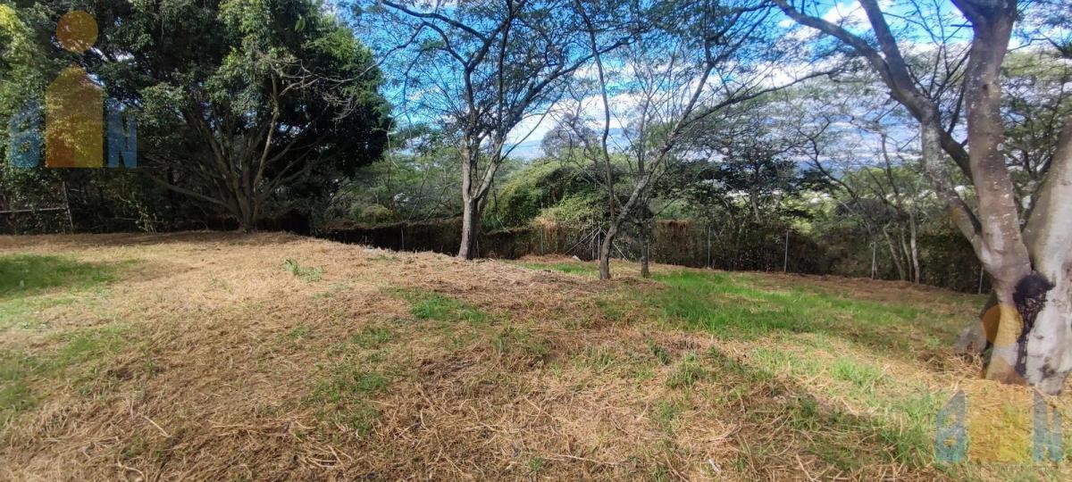Venta Terreno Unifamiliar, 1384,33 M²,urbanización, Seguridad — imagen 8