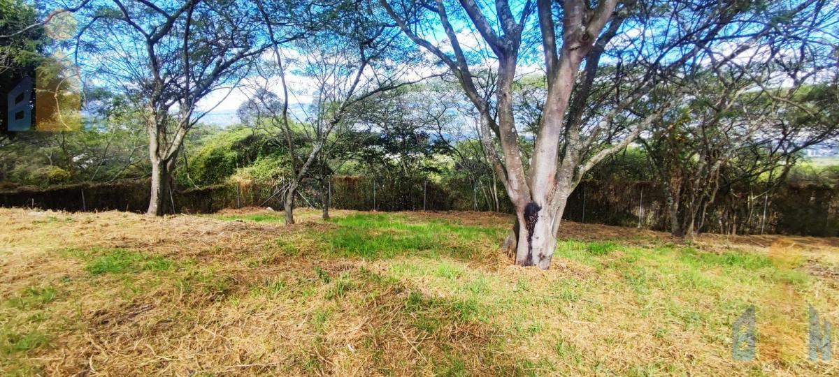 Venta Terreno Unifamiliar, 1384,33 M²,urbanización, Seguridad — imagen 7