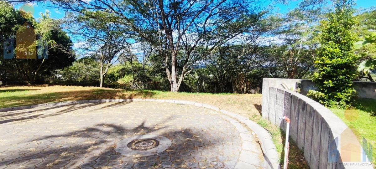 Venta Terreno Unifamiliar, 1384,33 M²,urbanización, Seguridad — imagen 4