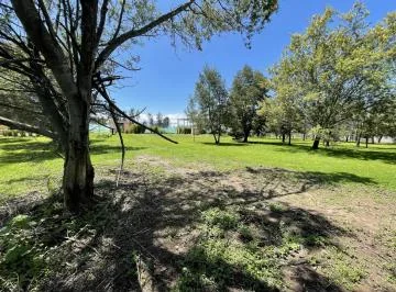 Puembo 1250 m² Terreno Multifamiliar en Venta en Urbanización Ideal Para Proyecto Inmobiliario — imagen 5