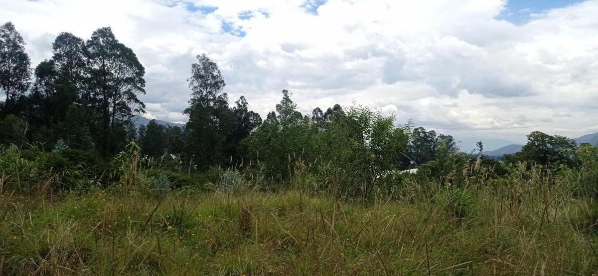 De Vende Hermoso Terreno en El Pedregal de Miranda en Conocoto — imagen 6