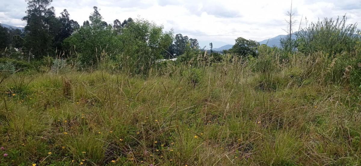 De Vende Hermoso Terreno en El Pedregal de Miranda en Conocoto — imagen 4