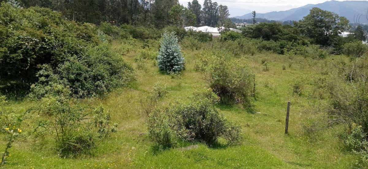 De Vende Hermoso Terreno en El Pedregal de Miranda en Conocoto — imagen 3