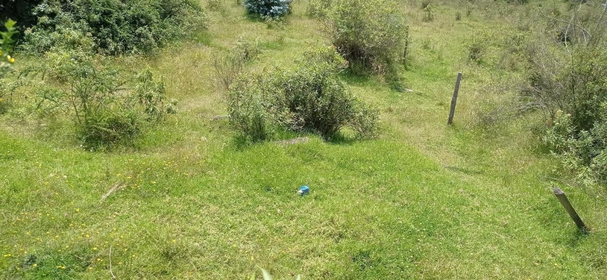 De Vende Hermoso Terreno en El Pedregal de Miranda en Conocoto — imagen 2