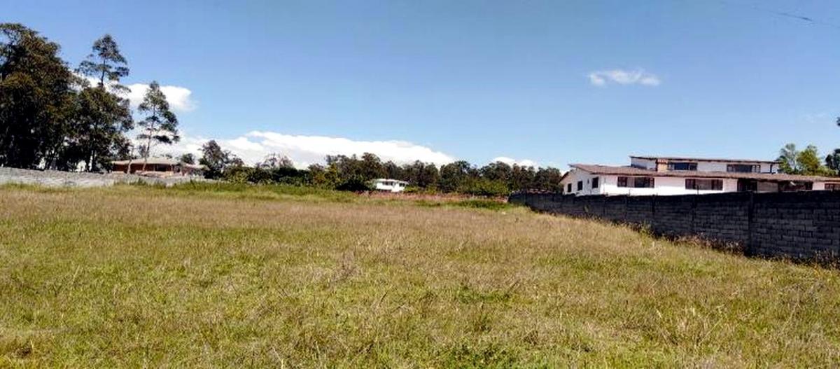 Terreno Esquinero 2.459 m² en Venta – Ontaneda, Conocoto — imagen 7