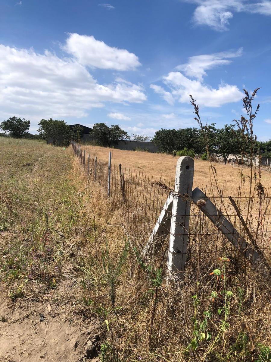 Venta de Terreno Plano en Llano Chico Cocotog — imagen 4