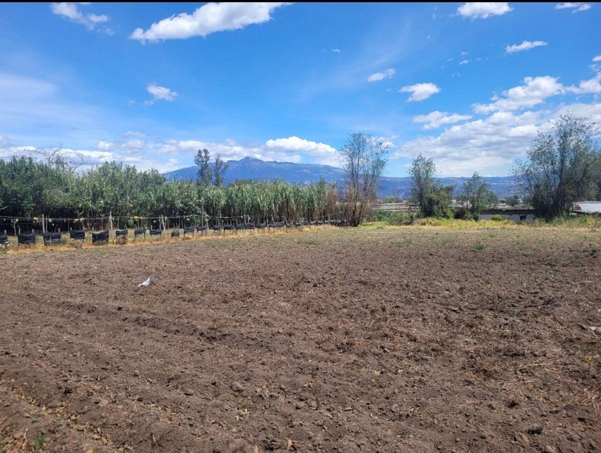 Terreno Plano de 6800 m² en Venta en Tababela — imagen 5