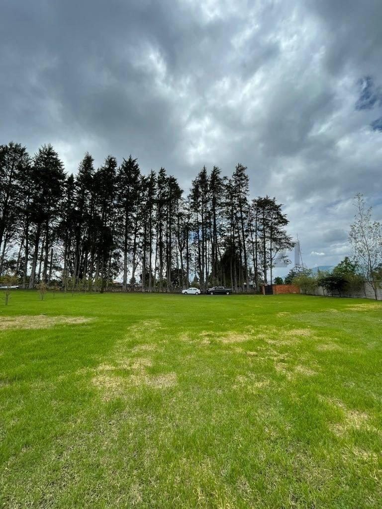 En Venta Terreno 1500 m². Sector Pifo — imagen 8