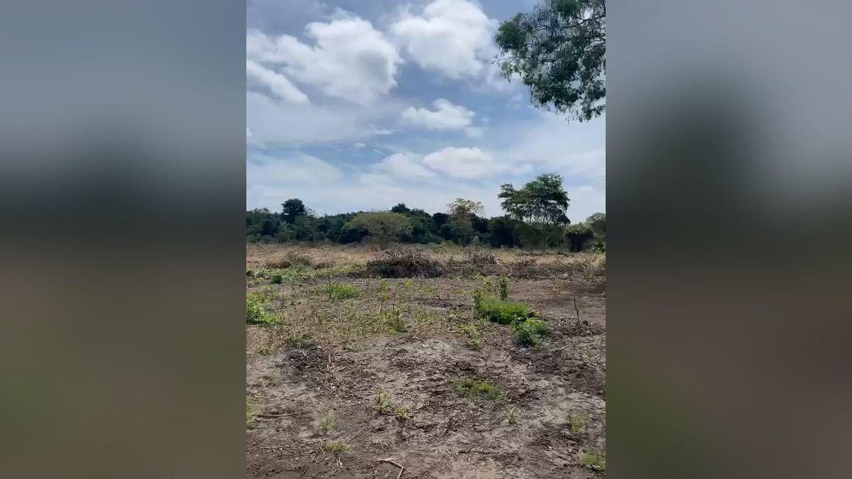 Vendo Macrolote de 39,20 Ha en Km 37 Vía a La Costa - Mlvillegas, Guayas — imagen 7