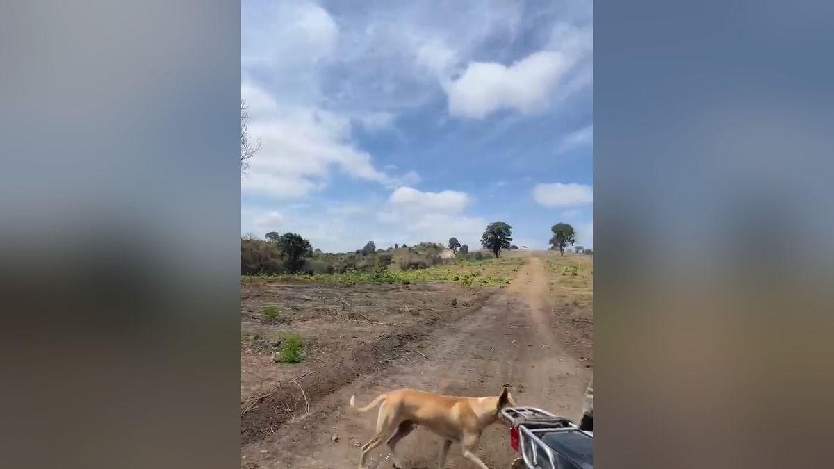 Vendo Macrolote de 39,20 Ha en Km 37 Vía a La Costa - Mlvillegas, Guayas — imagen 5