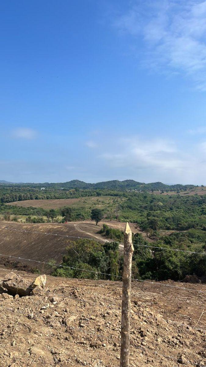 Vendo Macrolote de 39,20 Ha en Km 37 Vía a La Costa - Mlvillegas, Guayas — imagen 4