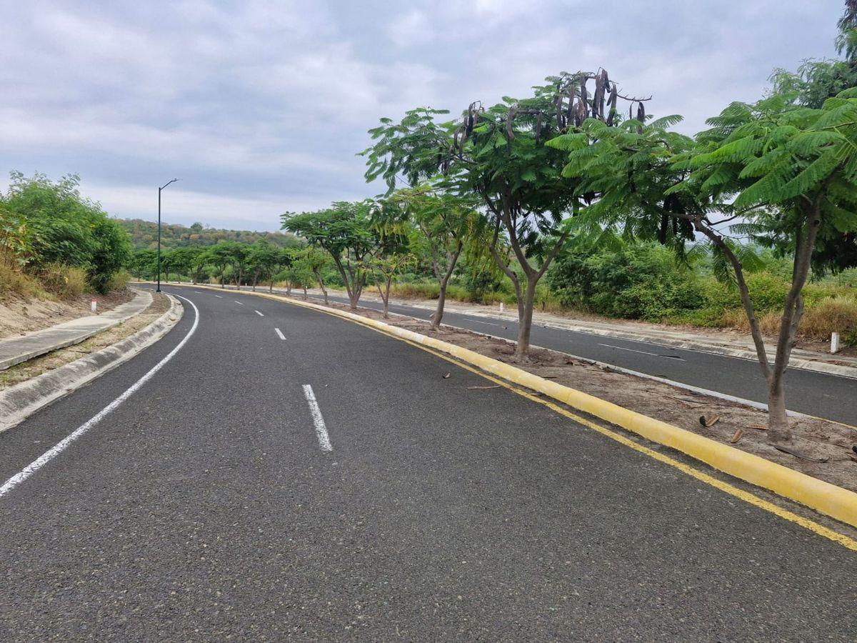 Terreno de Venta Sector Norte de Montecristi, Manabí — imagen 6