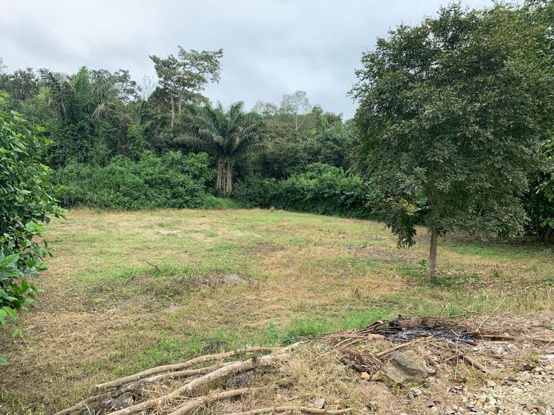 Terrenos de Venta en Olon en Lotizacion Privada — imagen 7