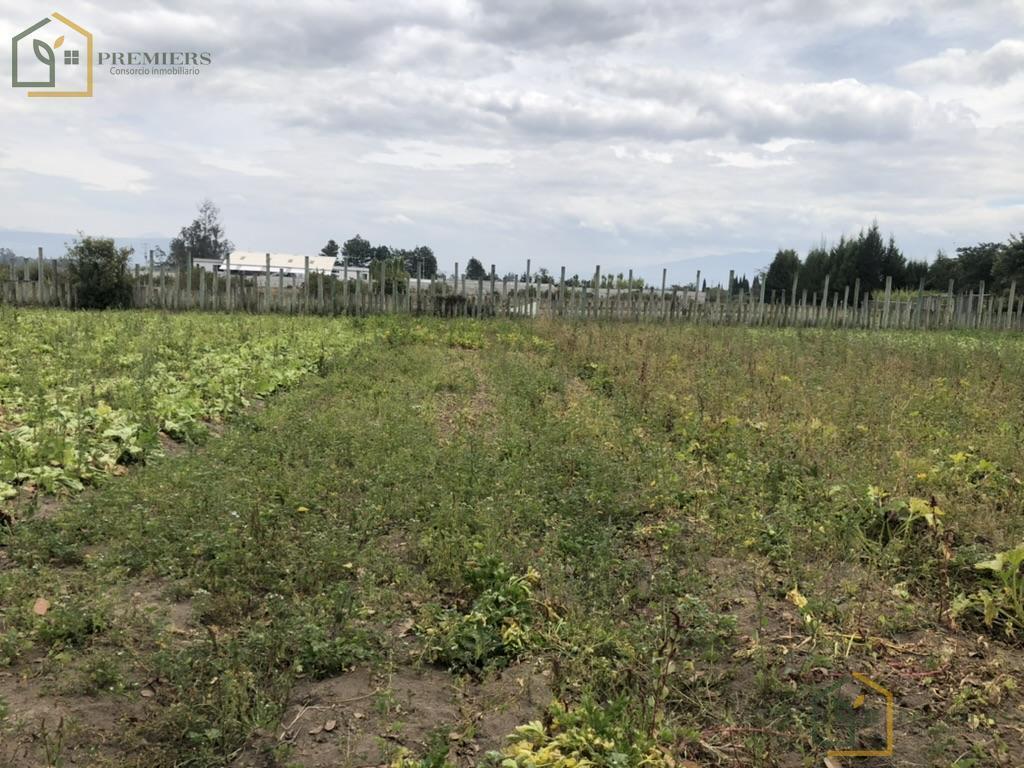 Lindo Terreno en La Poblacion de Tababela — imagen 6