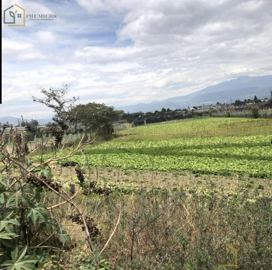 Lindo Terreno en La Poblacion de Tababela — imagen 3