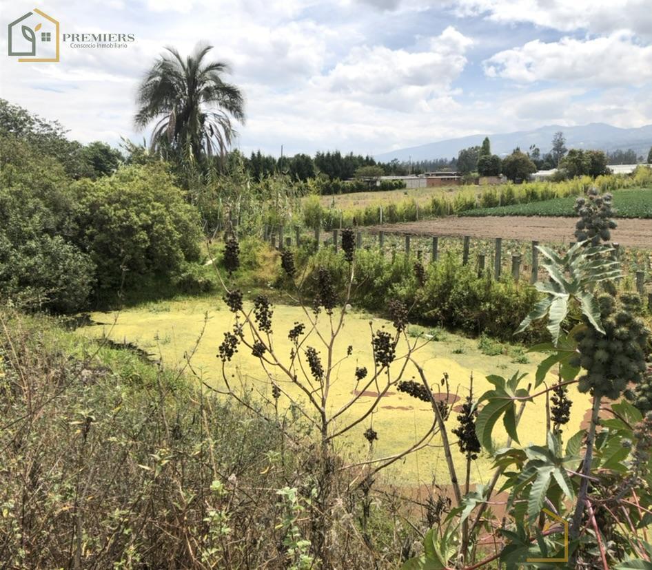 Lindo Terreno en La Poblacion de Tababela — imagen 2
