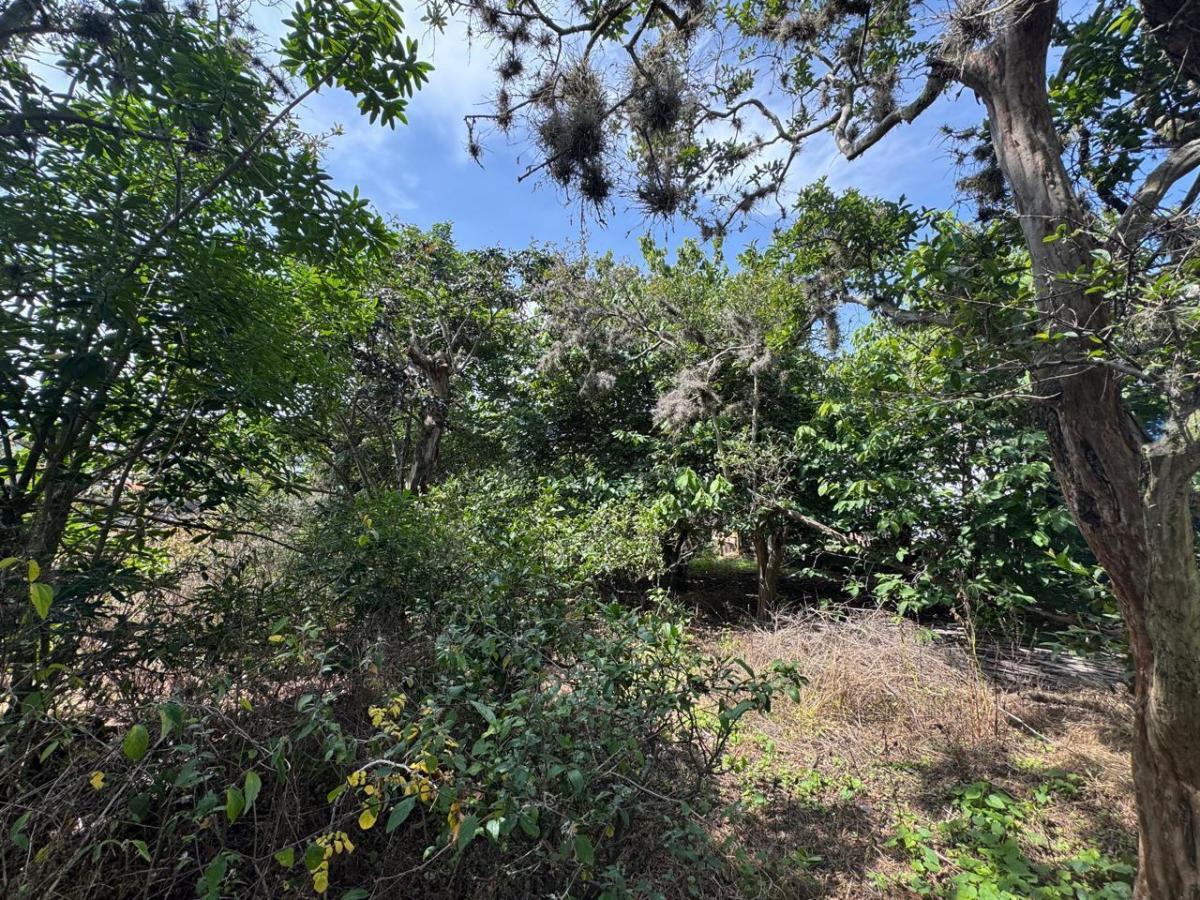 Tumbaco - Terreno en Venta — imagen 10