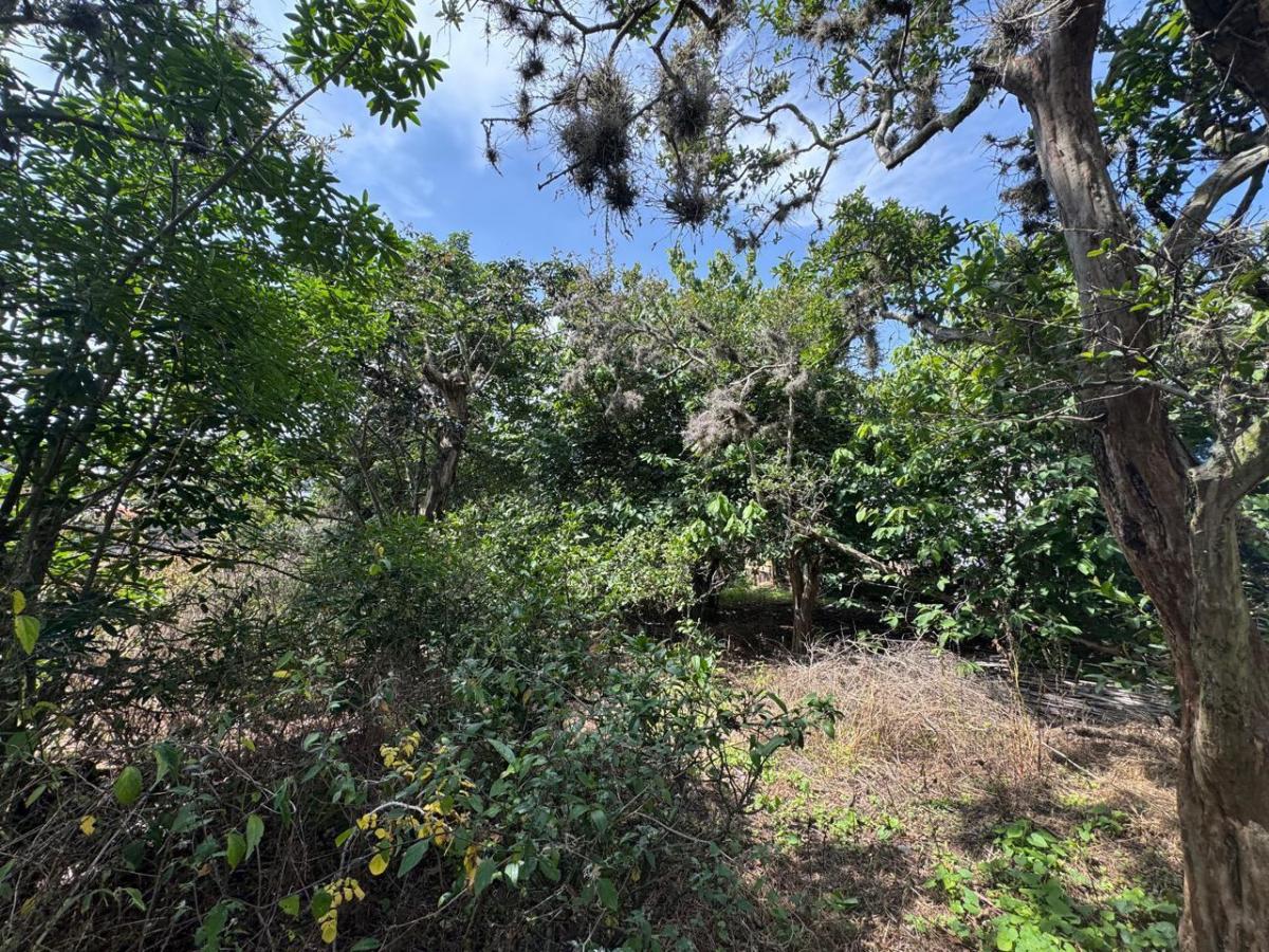 Tumbaco - Terreno en Venta — imagen 9