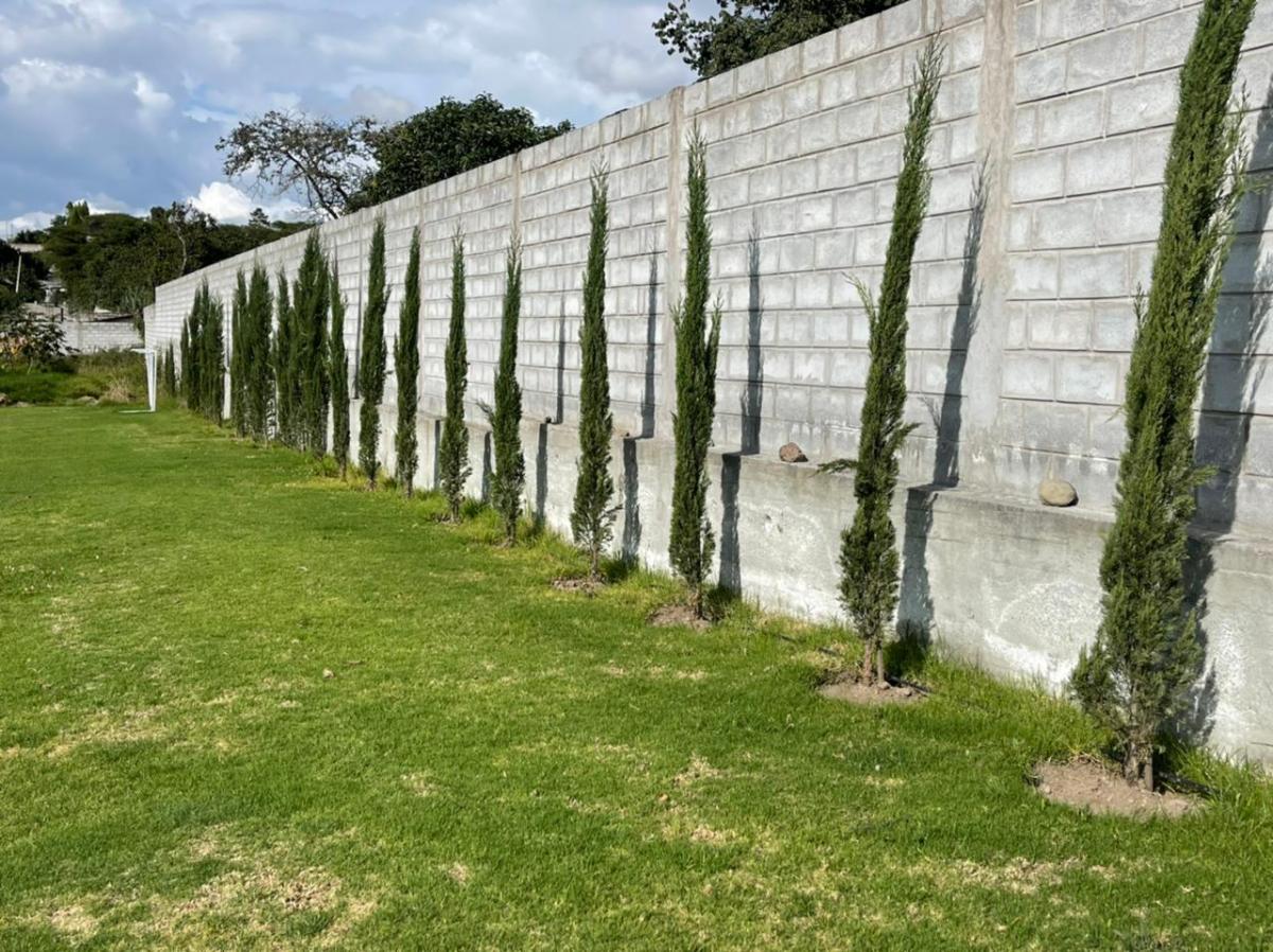 Terreno Tumbaco Sector Santa Rosa — imagen 4