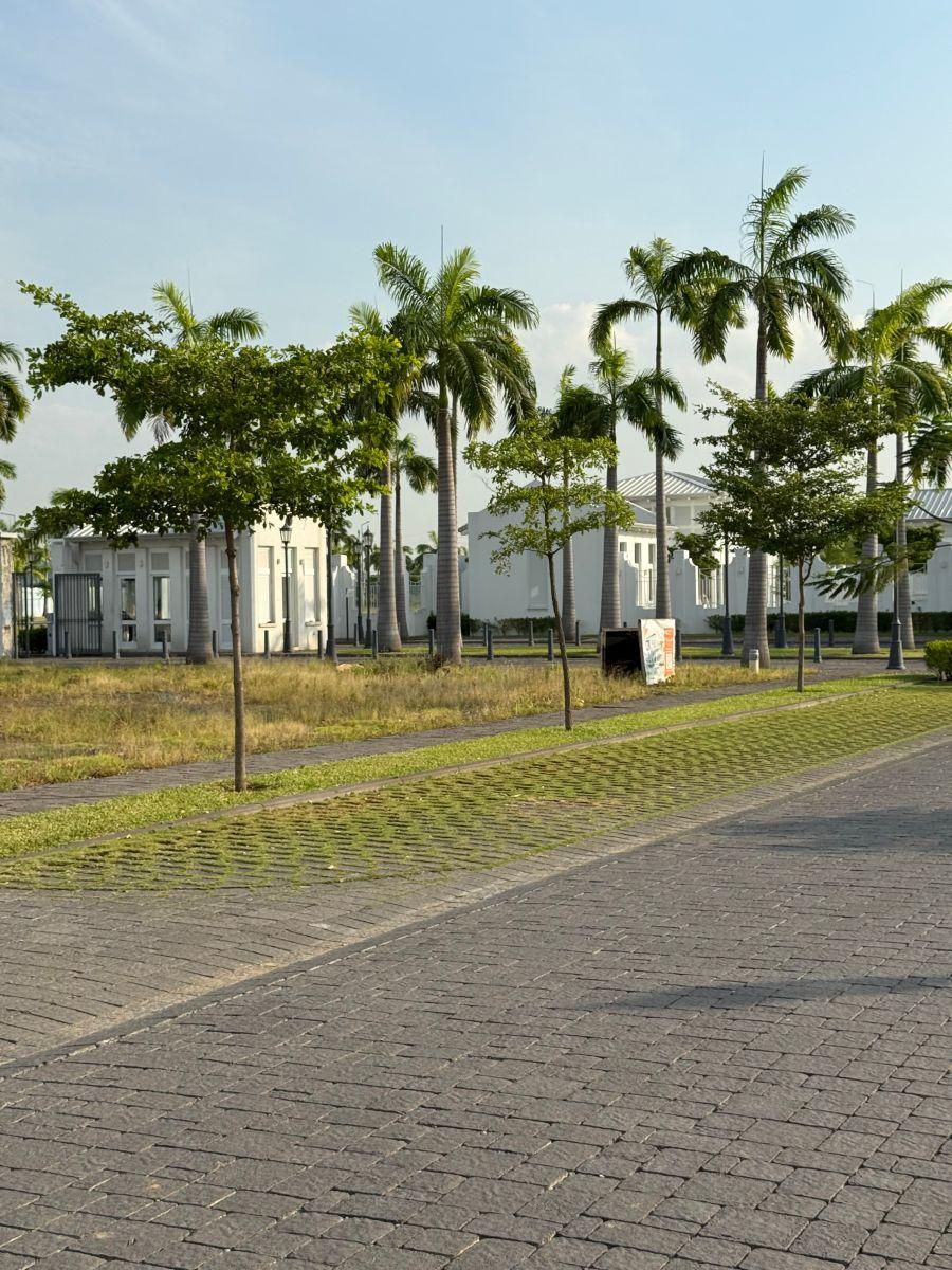 Vendo Terrenos en Aires Norte, Guayas — imagen 9