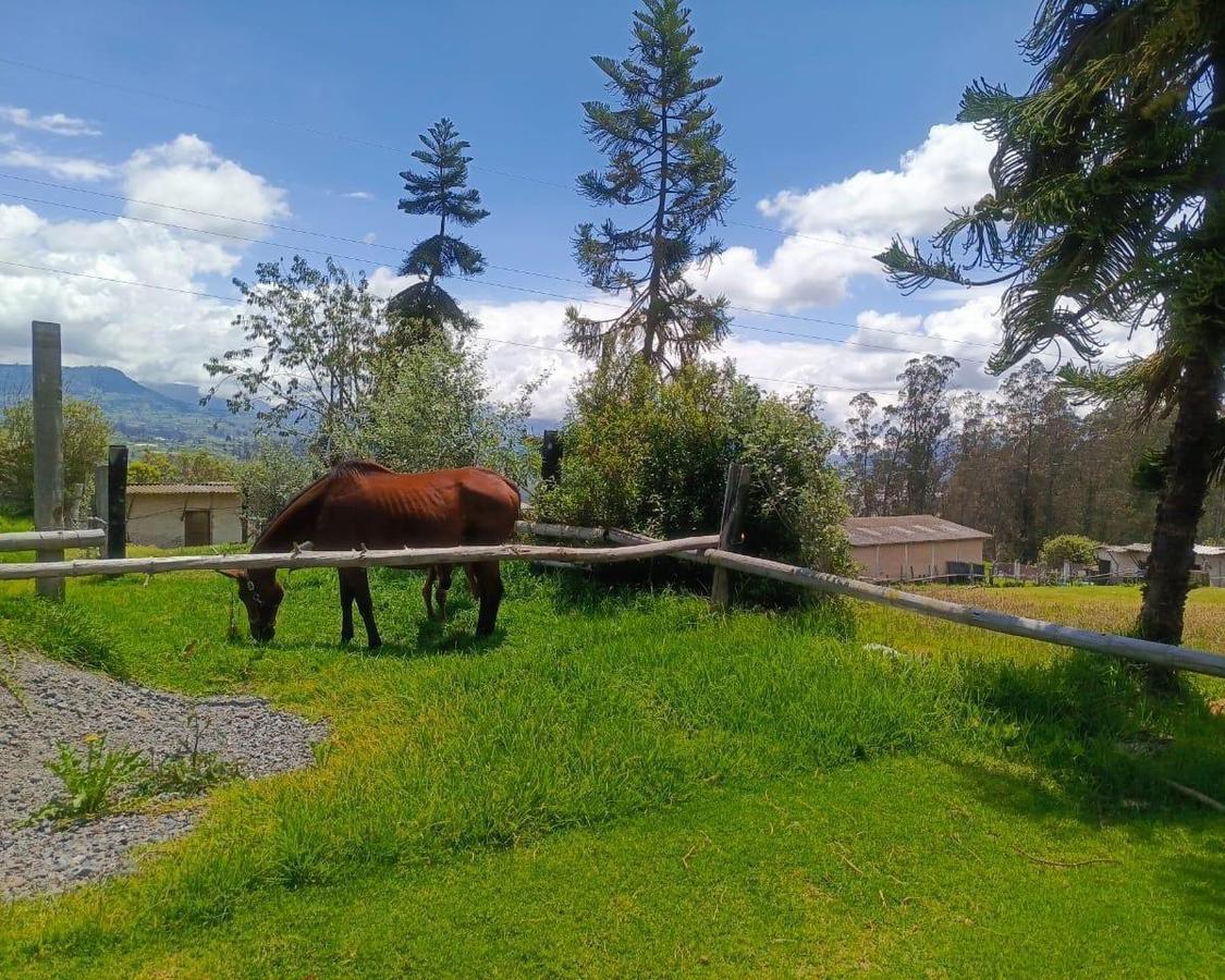 Lote en Venta en El Norte de Ambato. Sector Exclusivo, Tungurahua — imagen 9