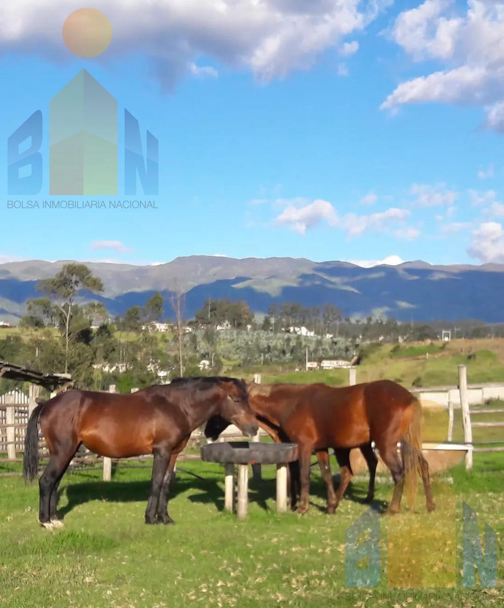 Terrenos en Venta en El Valle de Los Chillos, Sangolquí, Sector La Betaña — imagen 8