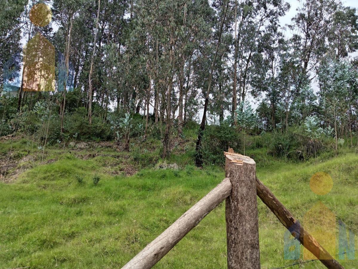 Terrenos en Venta en El Valle de Los Chillos, Sangolquí, Sector La Betaña — imagen 2
