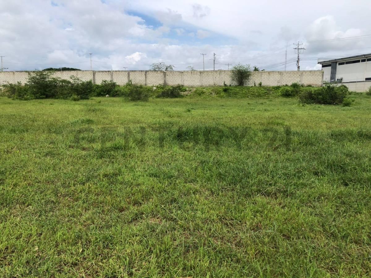 Venta 1,5347 Héctareas Vía a La Costa – Antes del Peaje P. Cev, Guayas — imagen 10