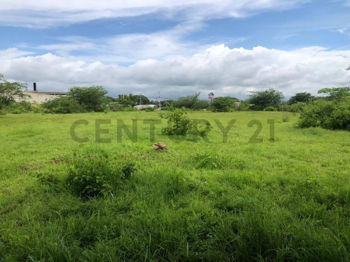 Venta 1,5347 Héctareas Vía a La Costa – Antes del Peaje P. Cev, Guayas — imagen 7