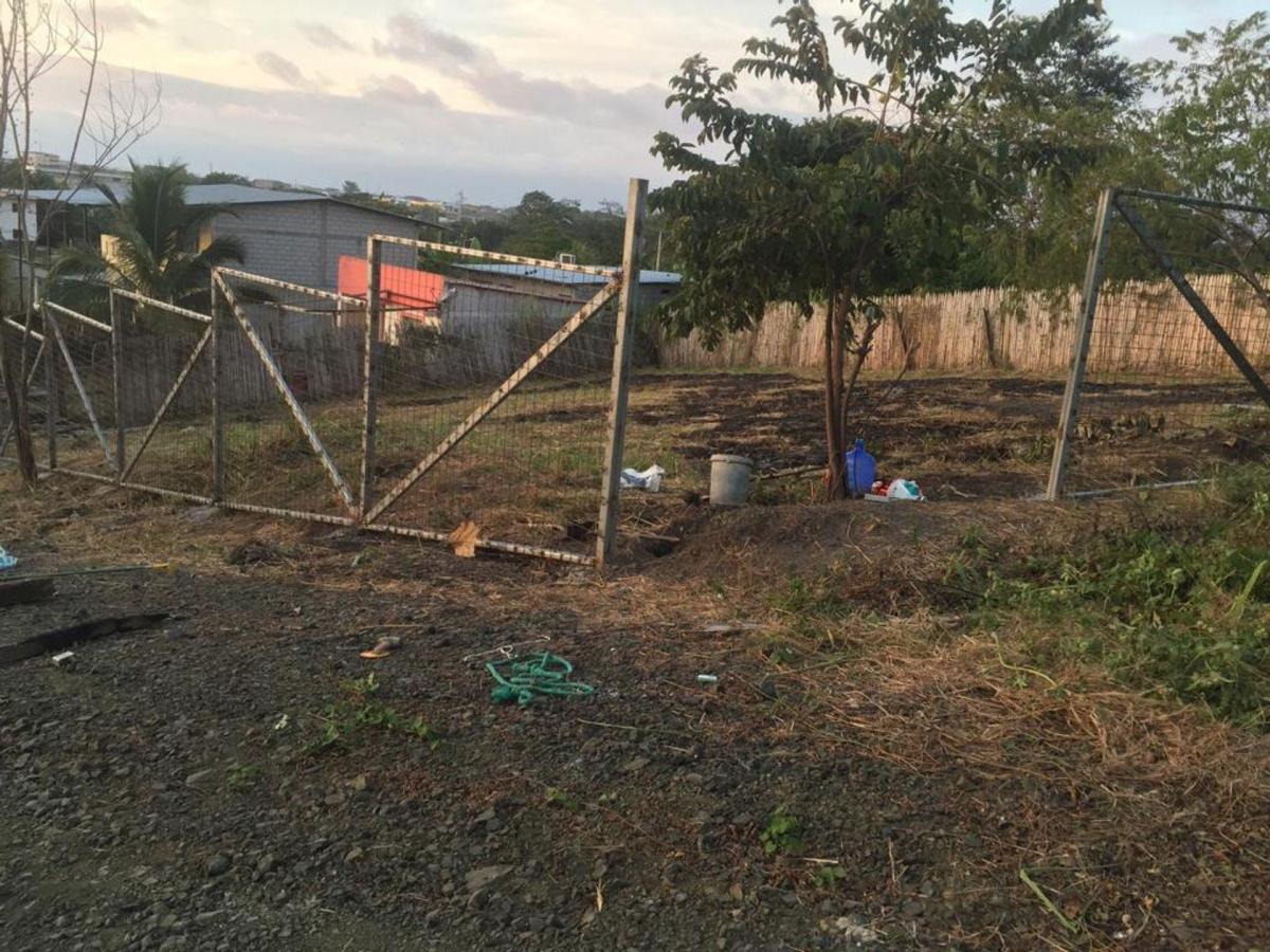 Terreno de Venta en Pedernales Manabi, Manabí — imagen 3