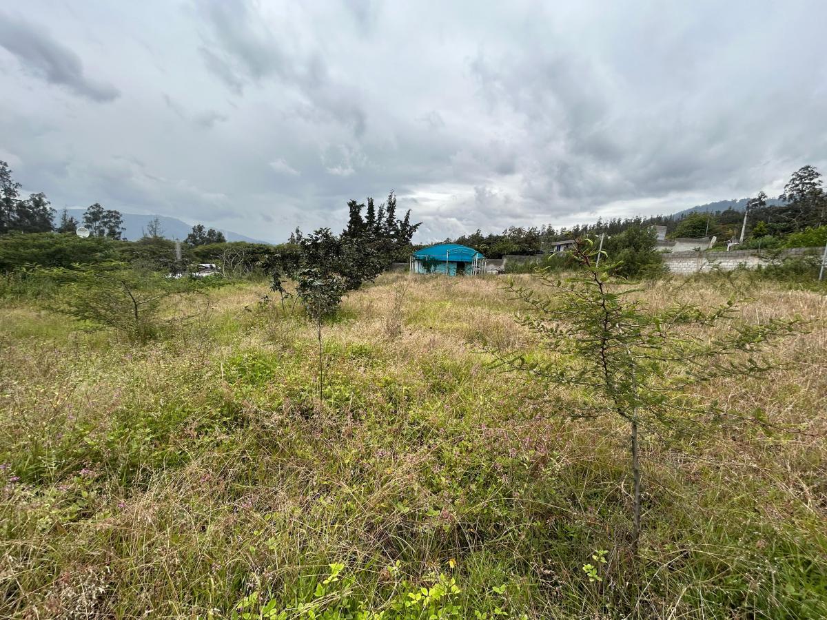 Se Vende Terreno en El Sector de Nayón — imagen 7