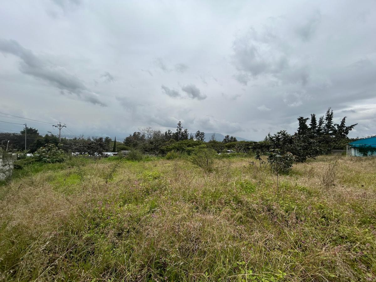 Se Vende Terreno en El Sector de Nayón — imagen 5