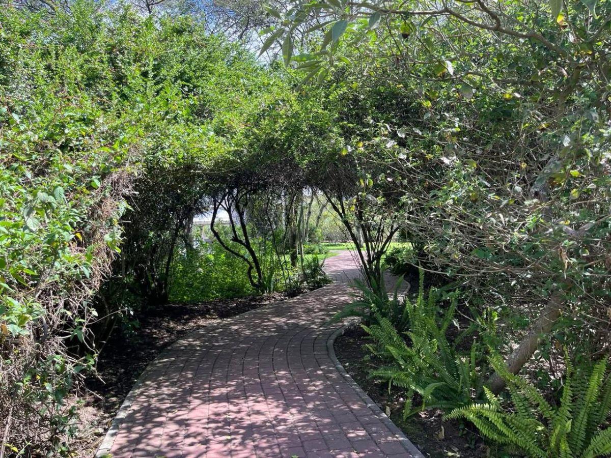 Vendo Hermoso Terreno con Linda Vista, Urbanización Privada Tumbaco Collaqui — imagen 2