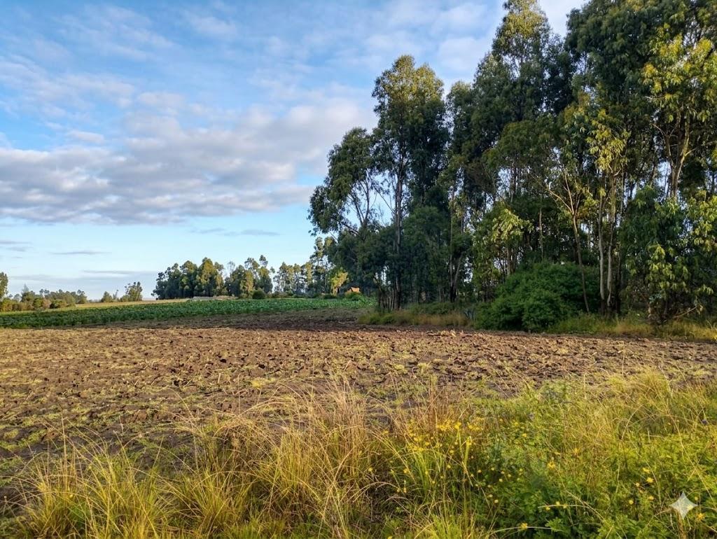 Terreno en Venta Malchingui — imagen 3