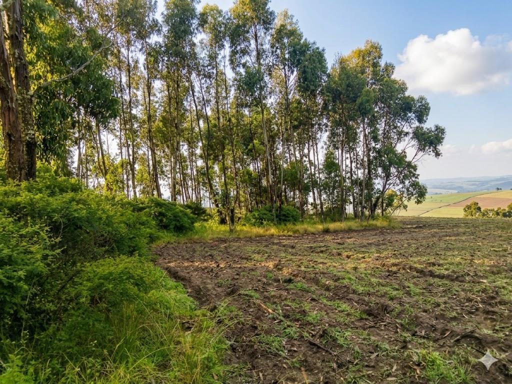 Terreno en Venta Malchingui — imagen 2