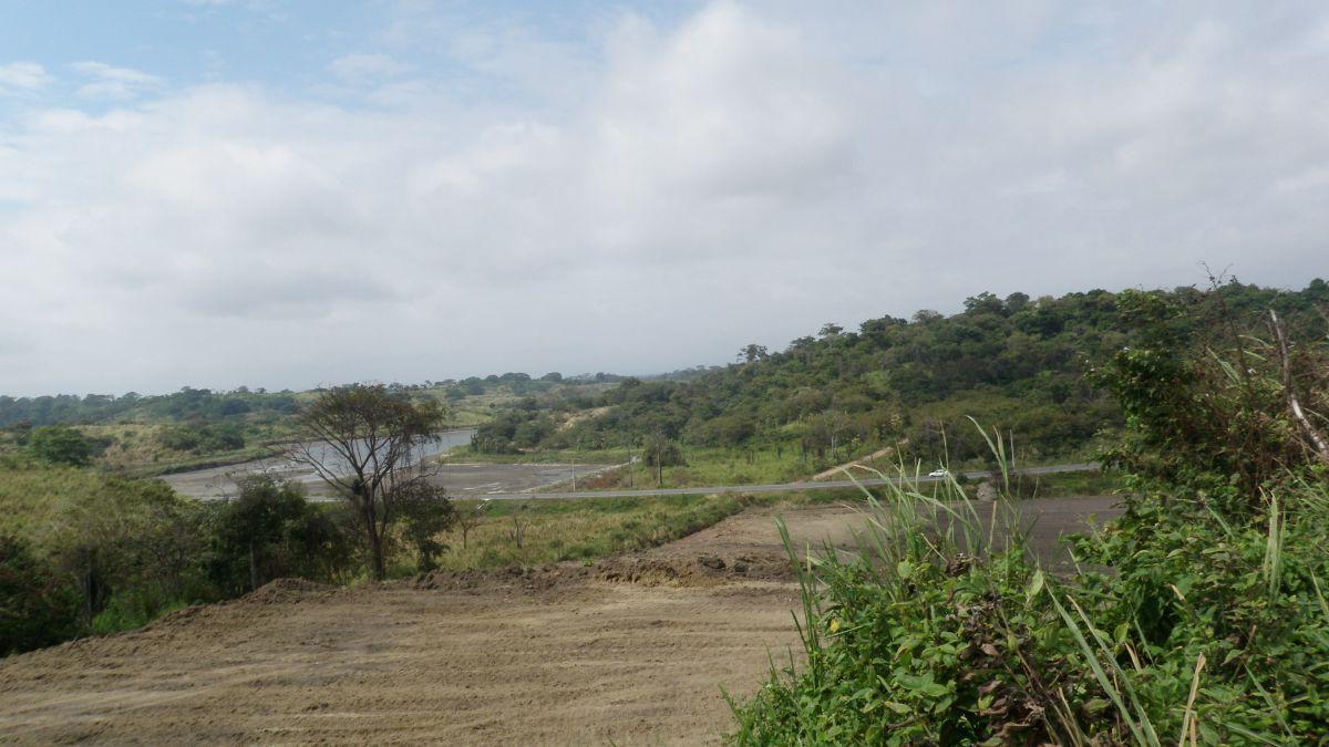 Venta Terreno con Área Para Producción Ganadera, Agricola y Camaronera – Cojimies, Manabí — imagen 6