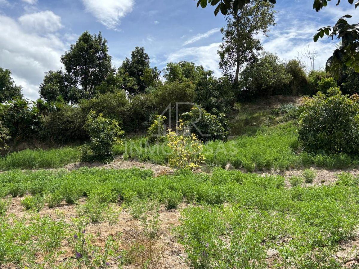 Hermoso Terreno $179.900 Excelente Ubicación 1.446,76 m² Zona Céntrica por La Av Simón Bolivar — imagen 5
