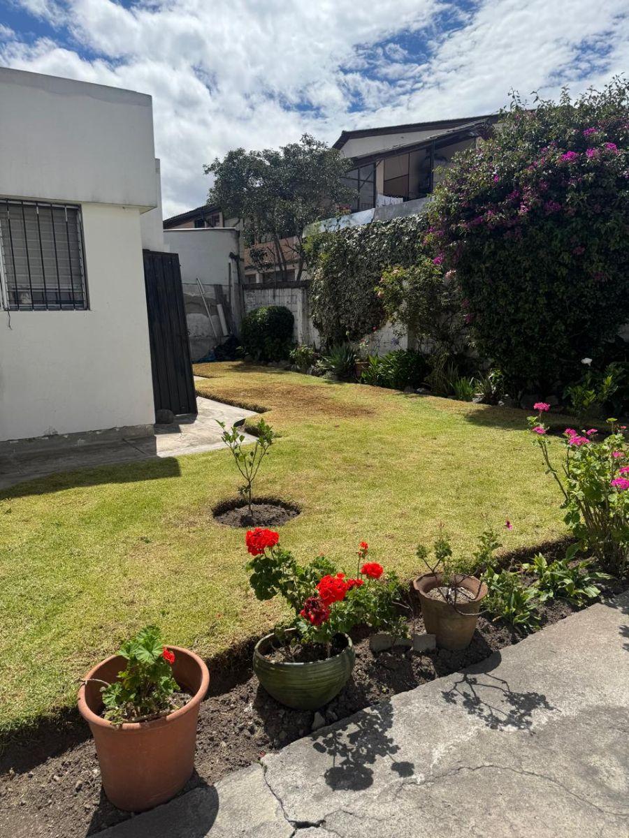Casa con Local! $800.000 — imagen 6