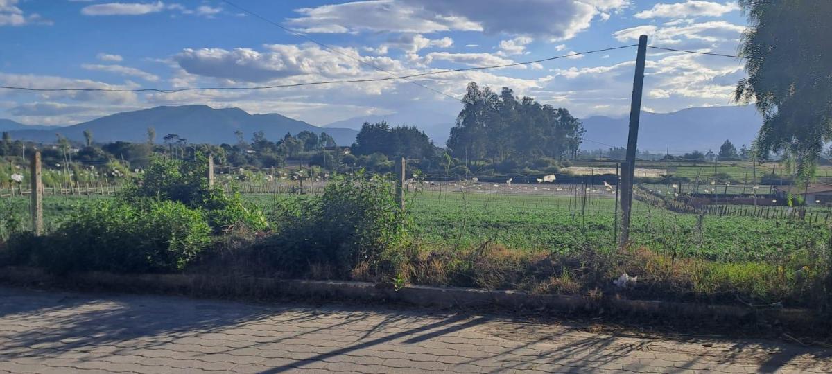 Vendo Terreno Agrícola Yaruquí Sector San Rafael Frente 50 m 9.500 m² — imagen 9