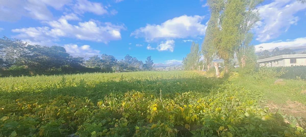 Vendo Terreno Agrícola Yaruquí Sector San Rafael Frente 50 m 9.500 m² — imagen 6